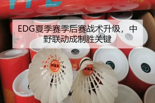 EDG夏季赛季后赛战术升级，中野联动成制胜关键